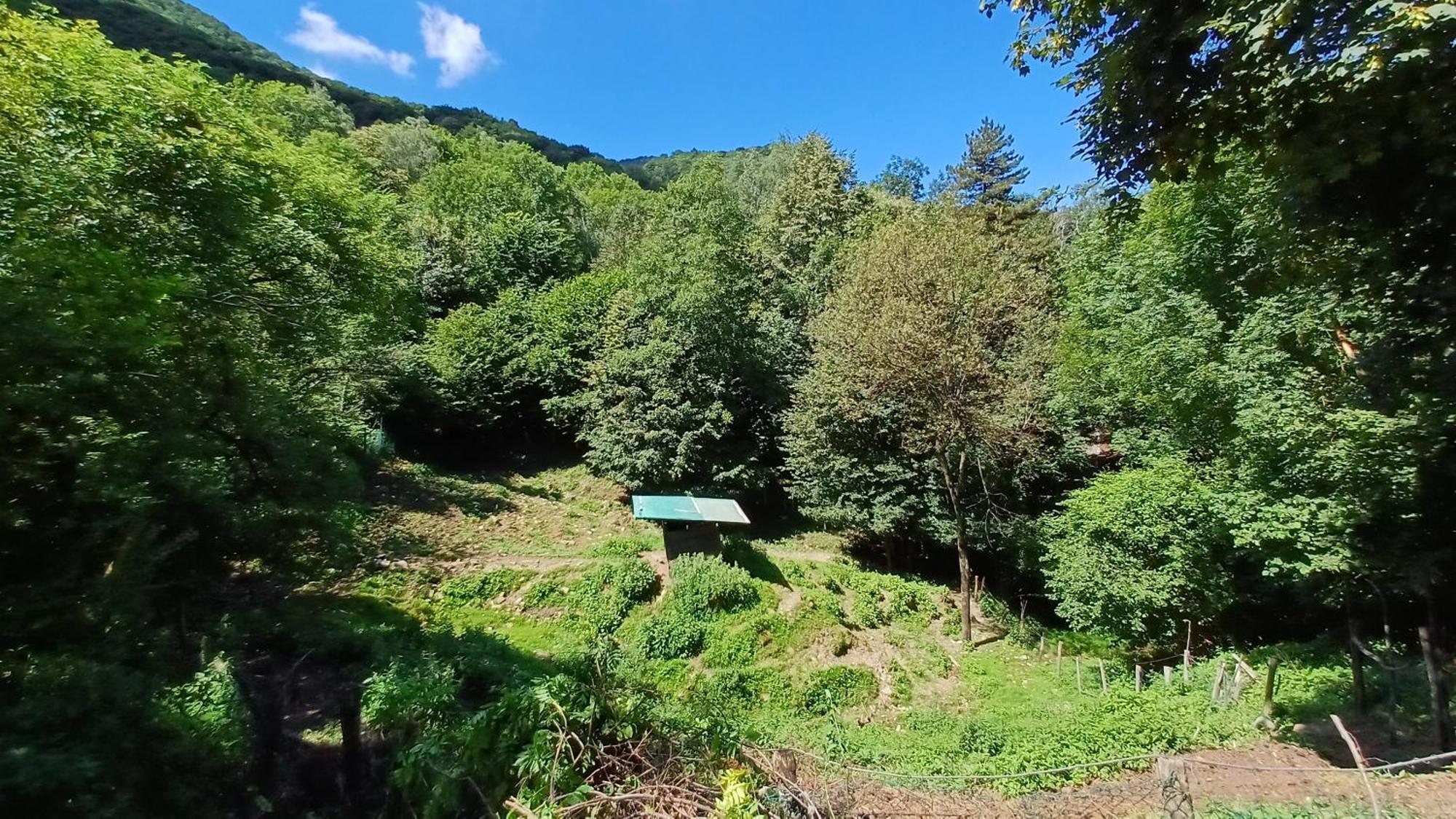 Appartement La Stanza Del Bosco à Arcumeggia Extérieur photo