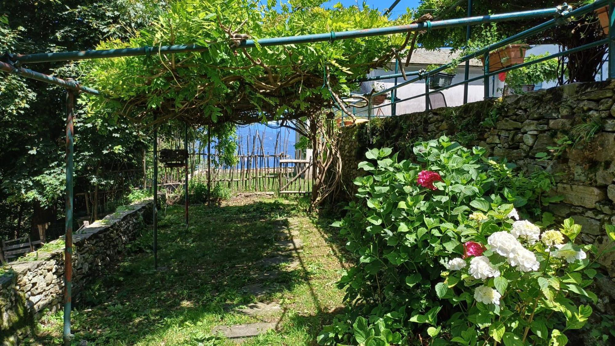 Appartement La Stanza Del Bosco à Arcumeggia Extérieur photo