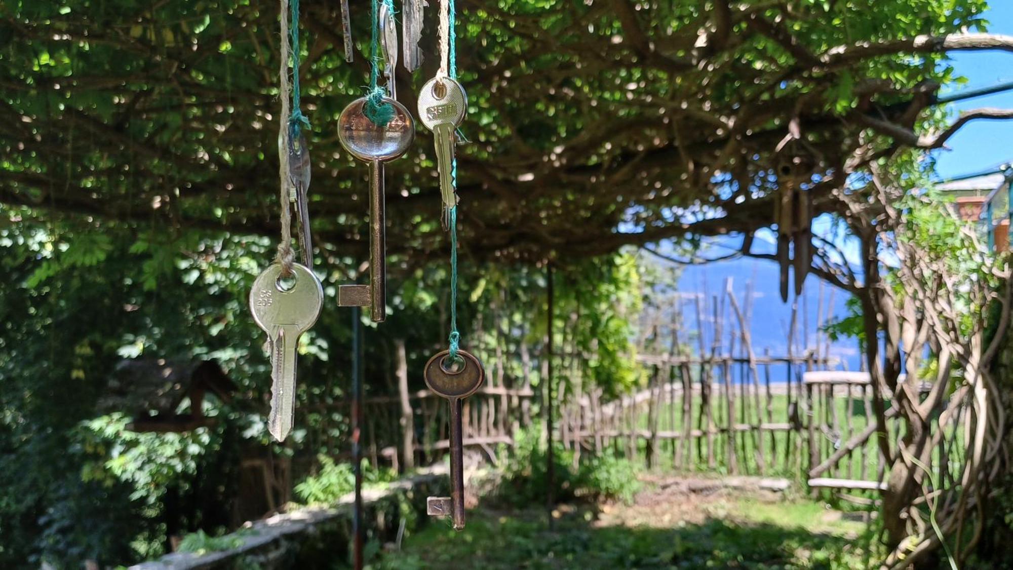 Appartement La Stanza Del Bosco à Arcumeggia Extérieur photo